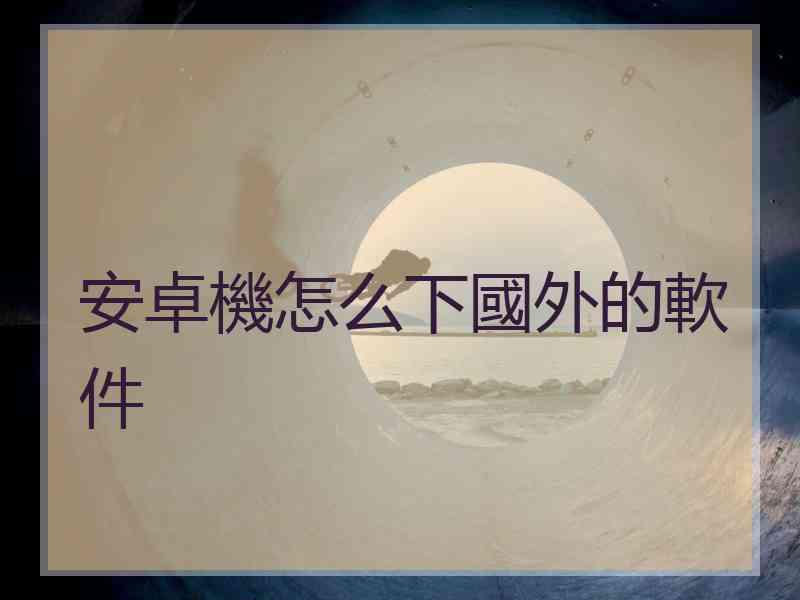 安卓機怎么下國外的軟件