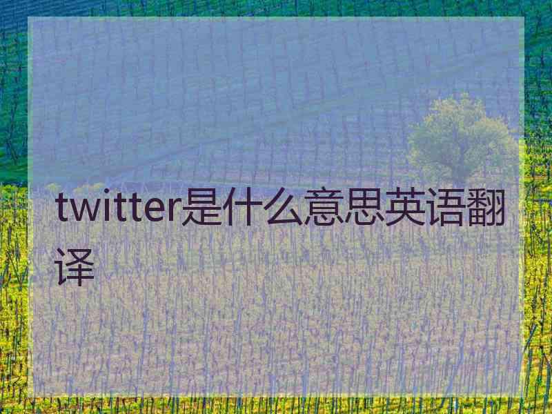 twitter是什么意思英语翻译