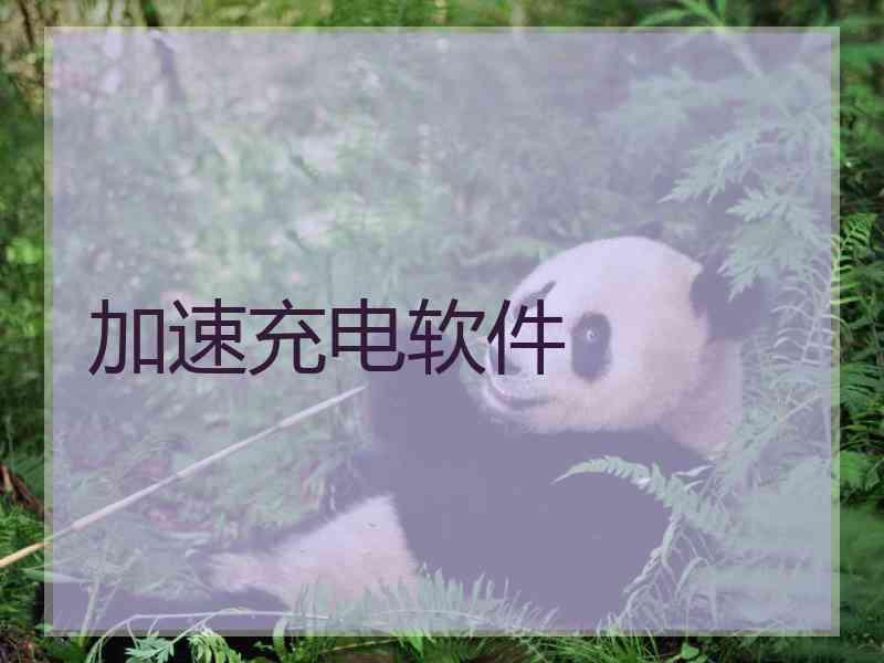加速充电软件