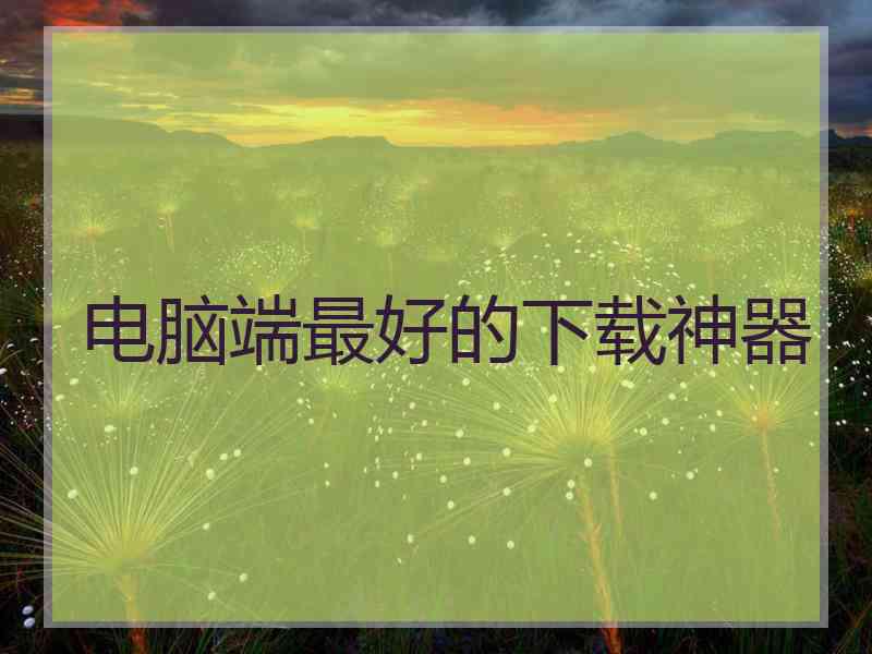 电脑端最好的下载神器