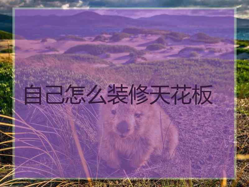 自己怎么装修天花板