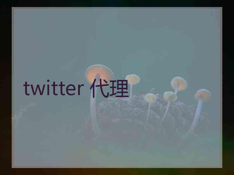 twitter 代理