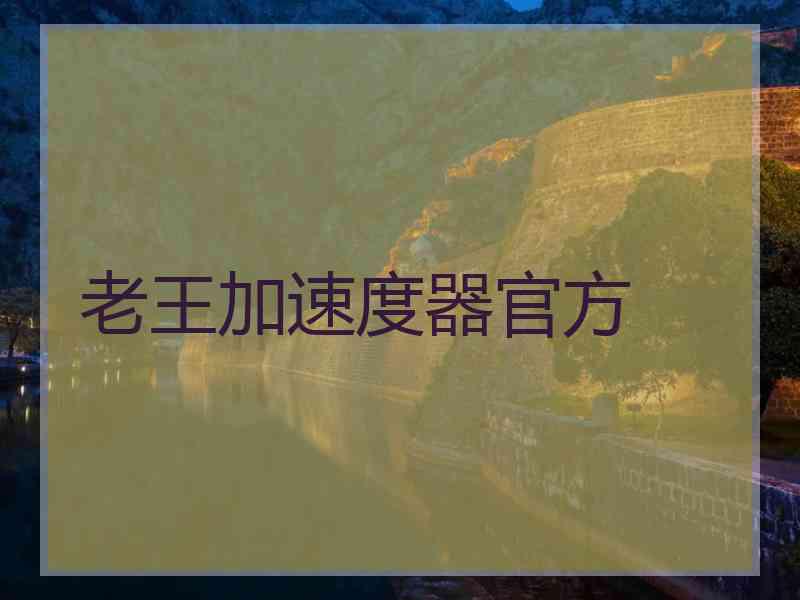 老王加速度器官方