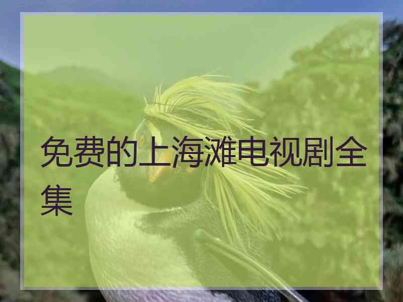 免费的上海滩电视剧全集