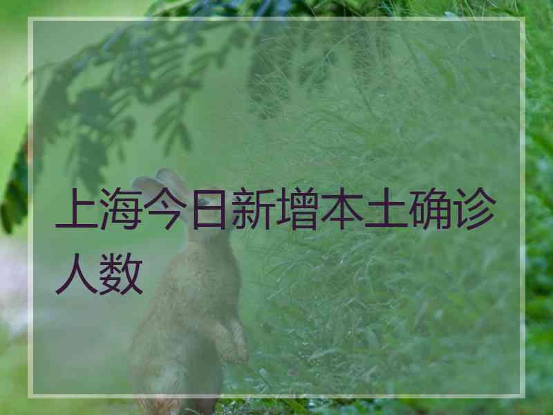 上海今日新增本土确诊人数