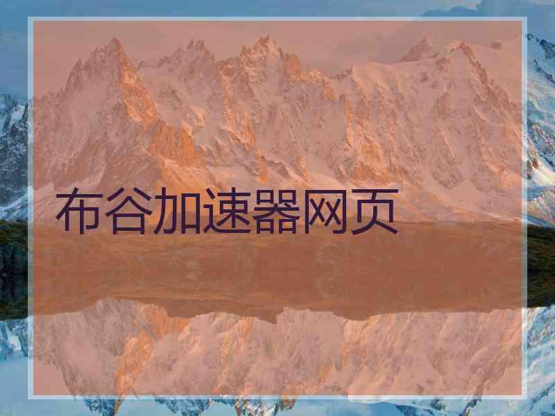 布谷加速器网页