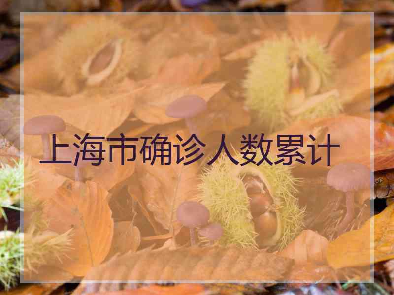 上海市确诊人数累计